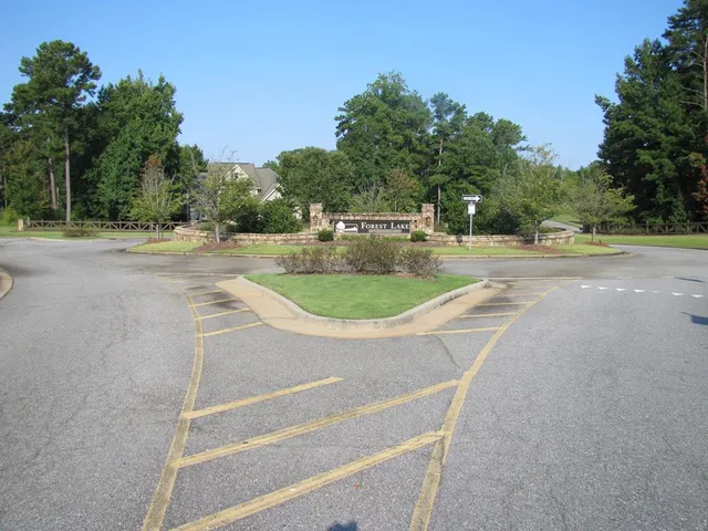a view of a big yard with a large trees