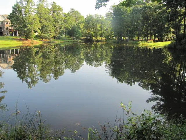 $1,500,000 | 7715 Lynch Road, Midland, GA 31820