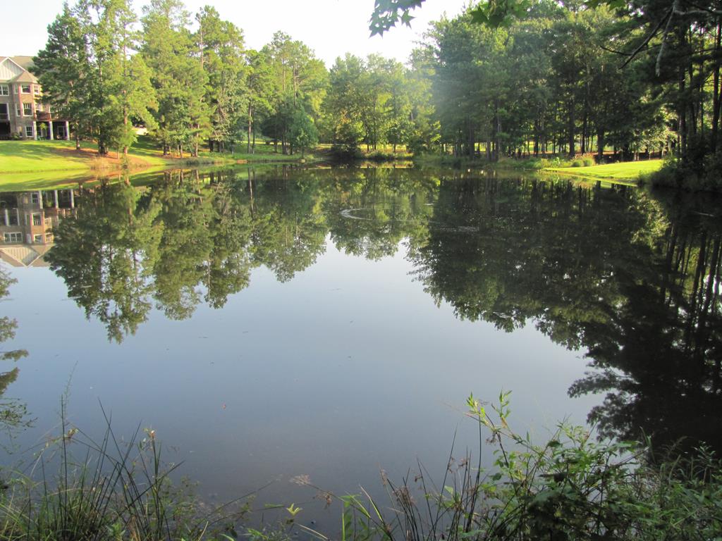 7715 Lynch Road Midland, GA 31820 - Photo 31 of 32 a view of a lake with a yard and large trees