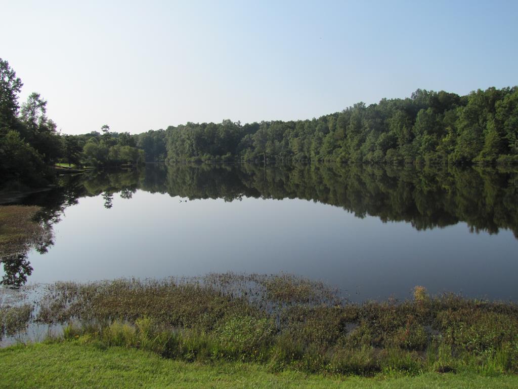 7715 Lynch Road Midland, GA 31820 - Photo 32 of 32 a view of lake