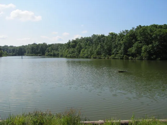 $1,500,000 | 7715 Lynch Road, Midland, GA 31820