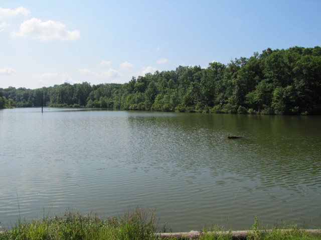 7715 Lynch Road Midland, GA 31820 - Photo 8 of 32 a view of a lake view