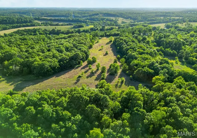 $300,000 | 14300 State Highway 32, Lebanon, MO 65536