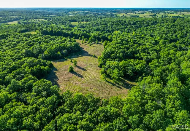 $300,000 | 14300 State Highway 32, Lebanon, MO 65536