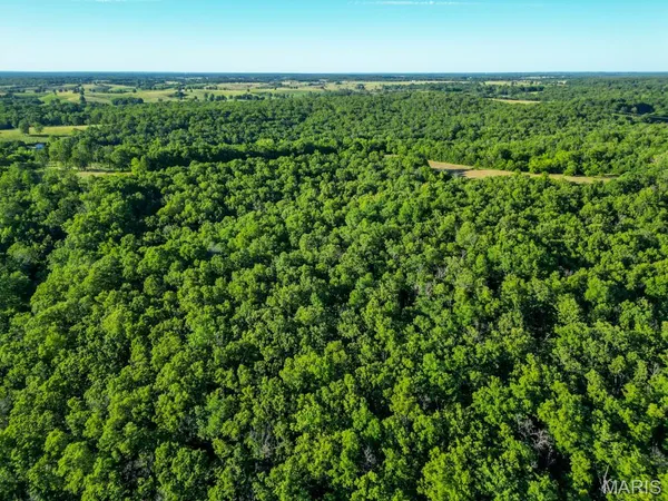 $300,000 | 14300 State Highway 32, Lebanon, MO 65536