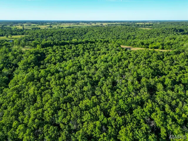 $300,000 | 14300 State Highway 32, Lebanon, MO 65536