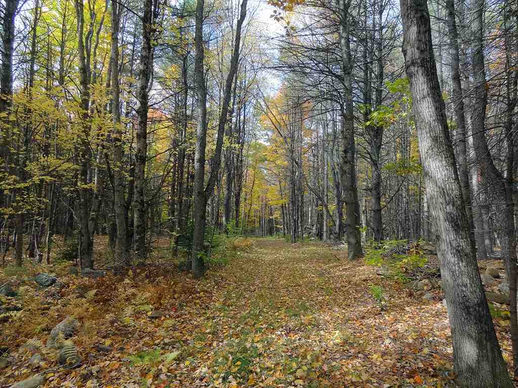 889 Jewett Road Hopkinton, NH 03229 - Photo 14 of 16