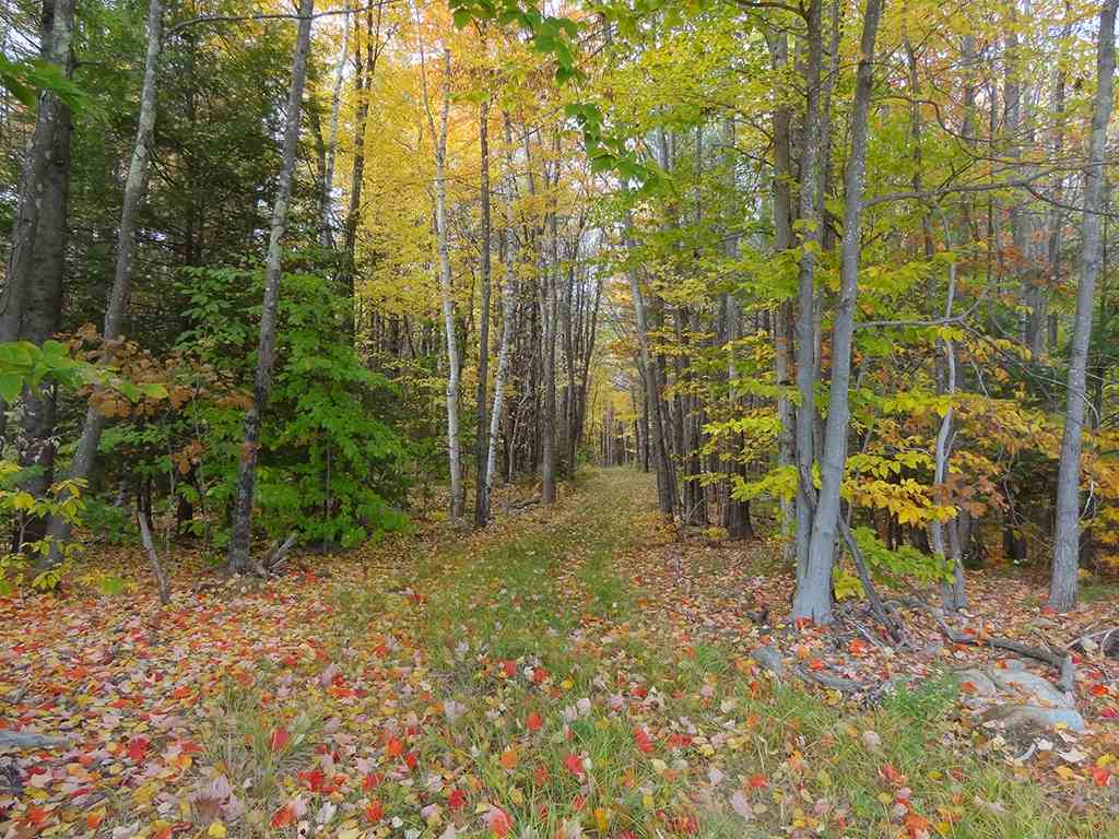 889 Jewett Road Hopkinton, NH 03229 - Photo 15 of 16