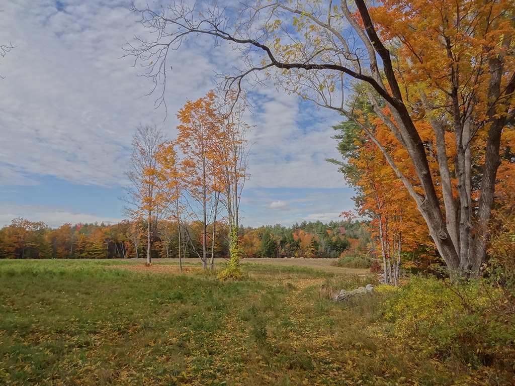 889 Jewett Road Hopkinton, NH 03229 - Photo 10 of 16