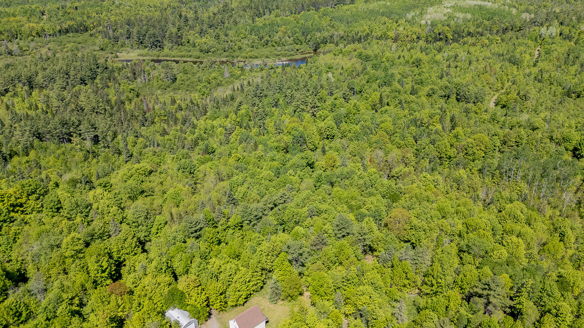 131 Gales Road Abbot, ME 04406 - Photo 103 of 128 DJI_20260603104532_0549_D
