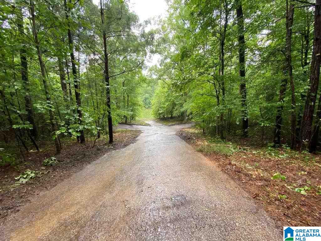 99 County Road, Unit 39 Wedowee, AL 36278 - Photo 6 of 11