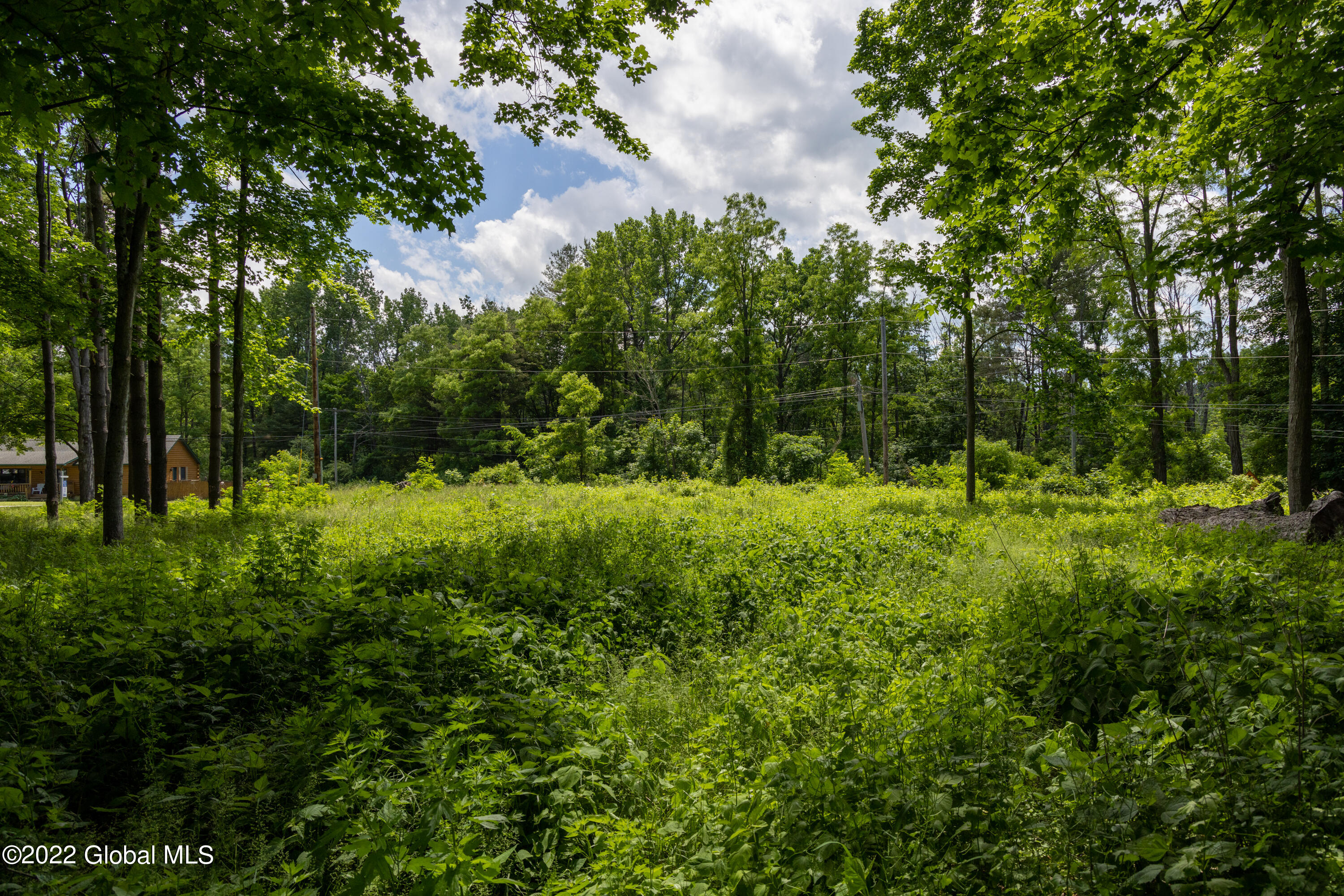 1 Norman Vale Lane Guilderland, NY 12084 - Photo 10 of 84 7L9A9380