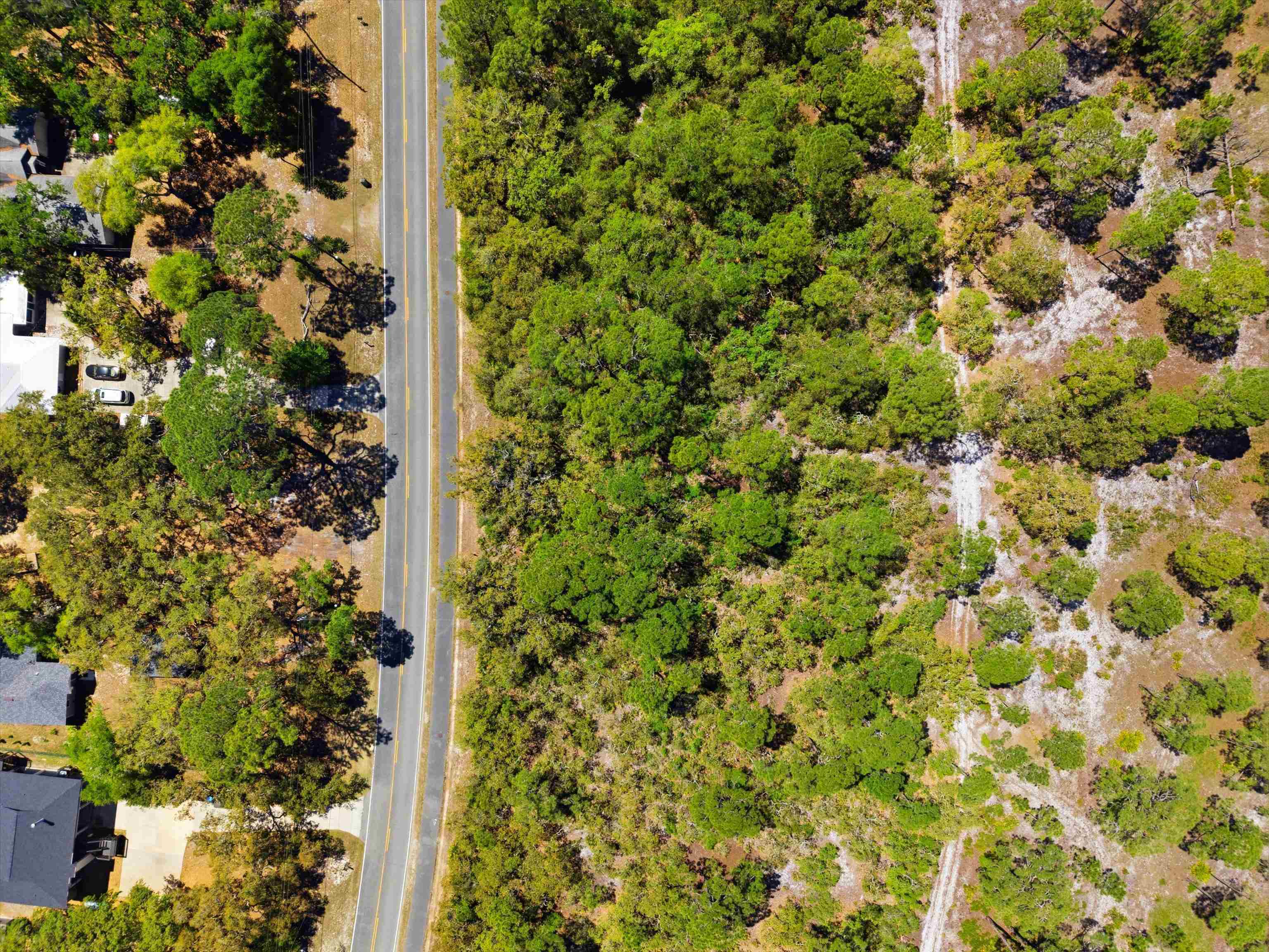 Xxx Mashes Sands Road Panacea, FL 32346 - Photo 20 of 23