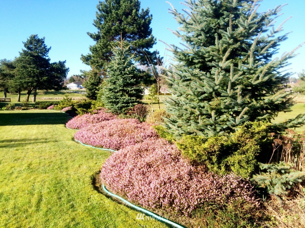 8200 Sehome Road Birch Bay, WA 98230 - Photo 9 of 25 Gallery Image 9