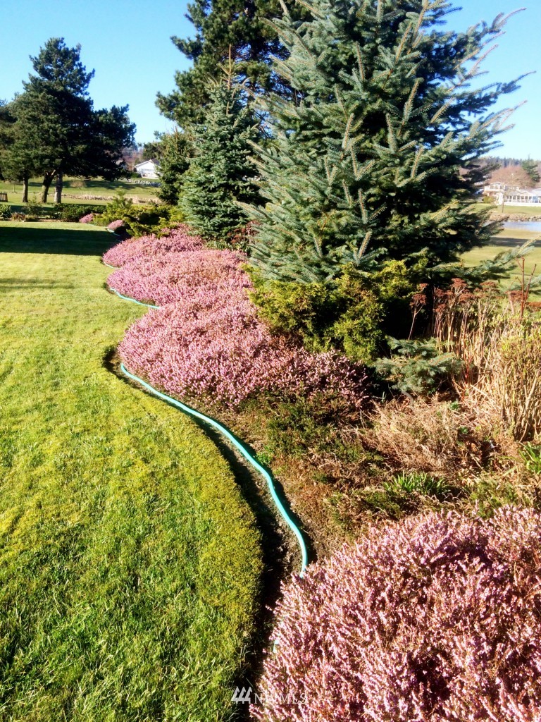 8200 Sehome Road Birch Bay, WA 98230 - Photo 10 of 25 Gallery Image 10