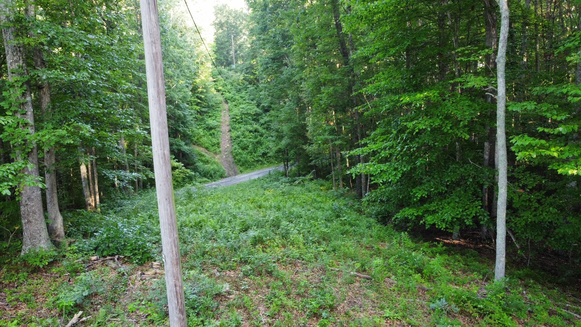 Coleman Cliff Road Frankford, WV 24938 - Photo 44 of 49 Gallery Image 44