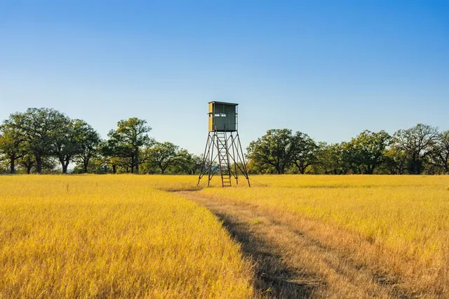 a view of an ocean and beach