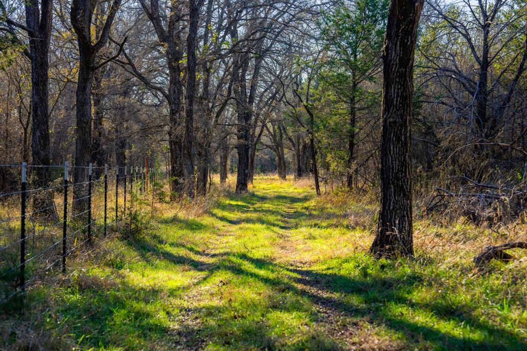 770 Sand Lane Santo, TX 76472 - Photo 19 of 40 a view of swimming pool
