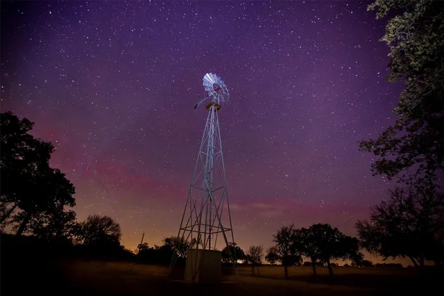 a view of a flower in a big yard