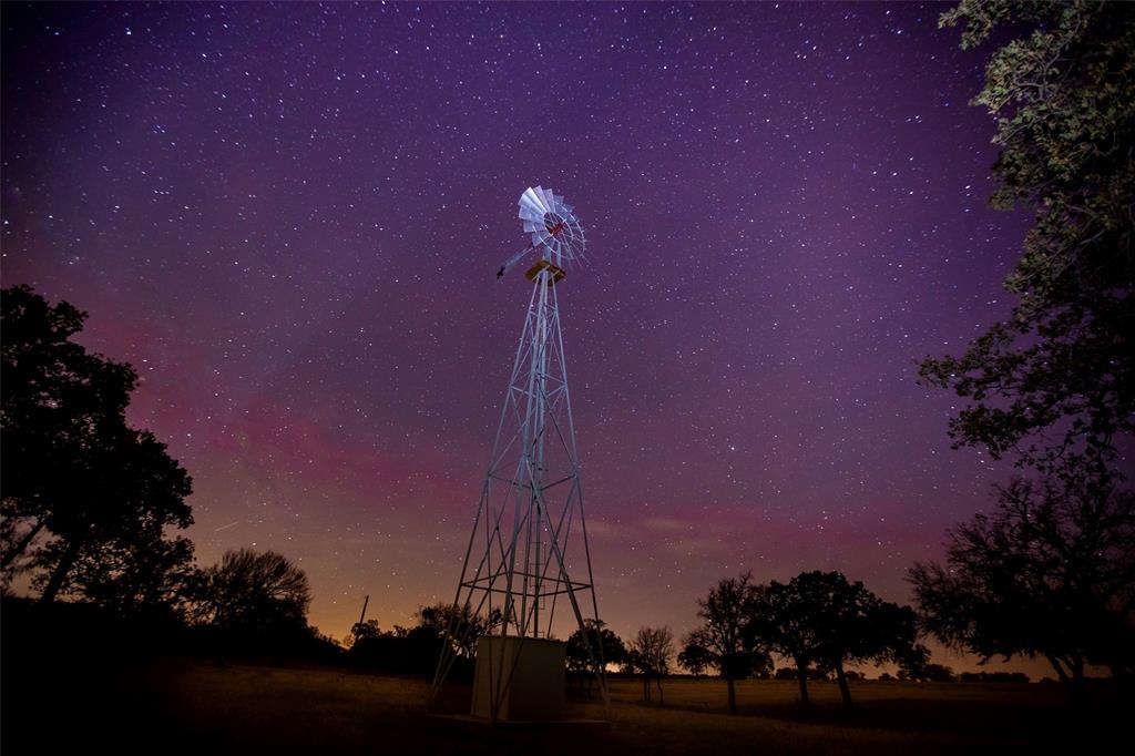 770 Sand Lane Santo, TX 76472 - Photo 9 of 40 a view of a flower in a big yard