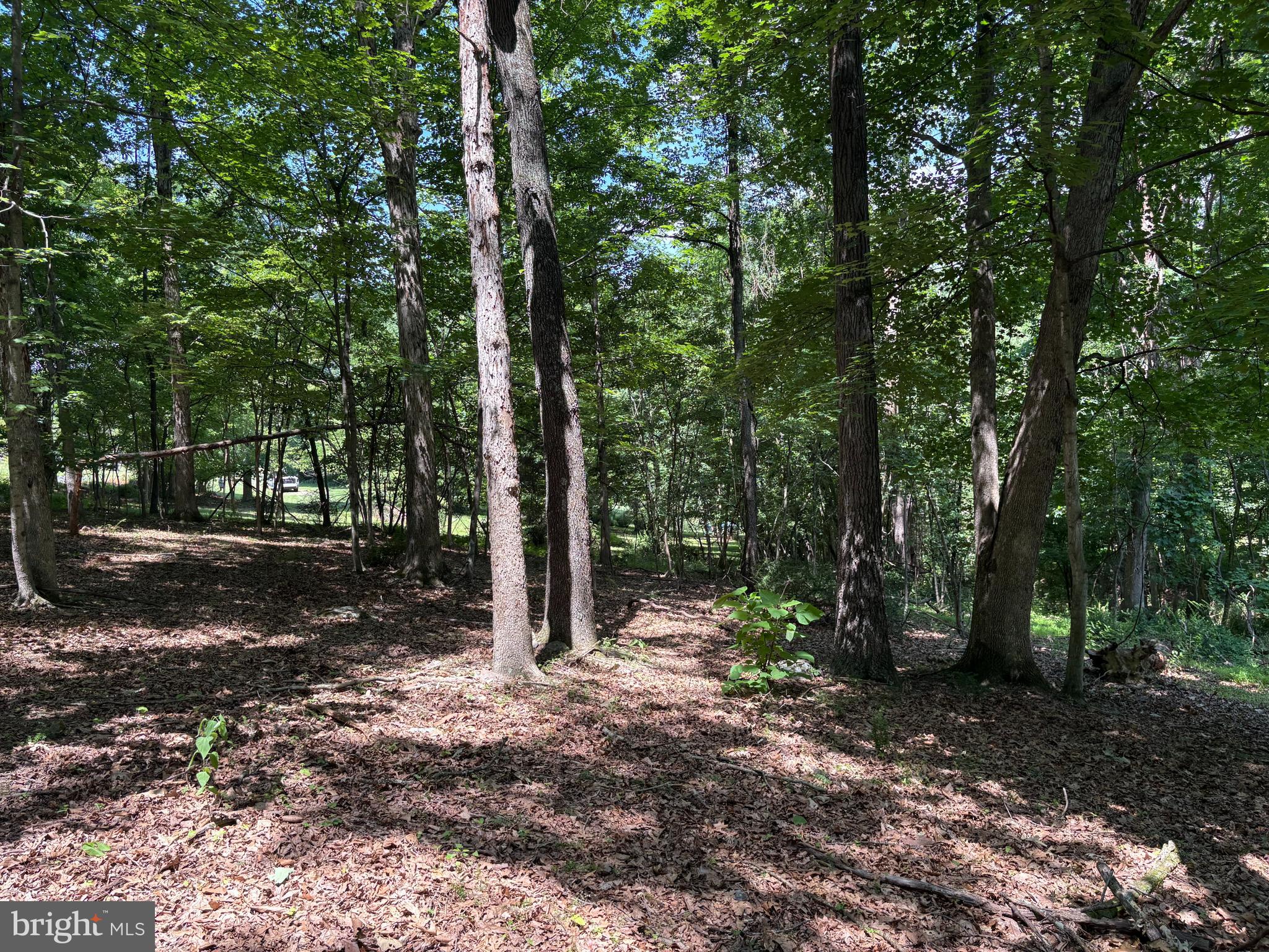 16 Rolling Acres Road Old Fields, WV 26845 - Photo 6 of 21