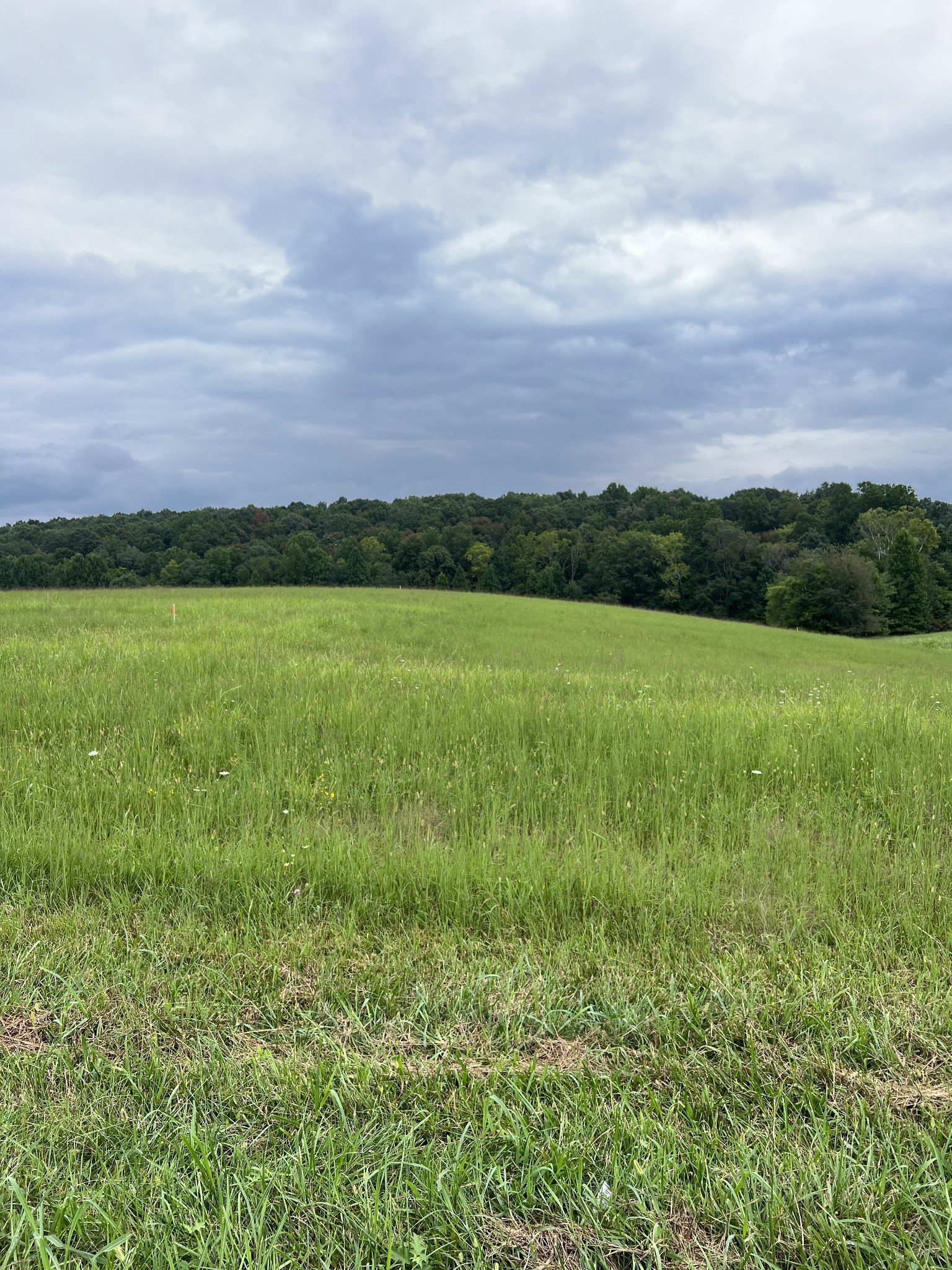 9 Highway 52 Red Boiling Springs, TN 37150 - Photo 1 of 2