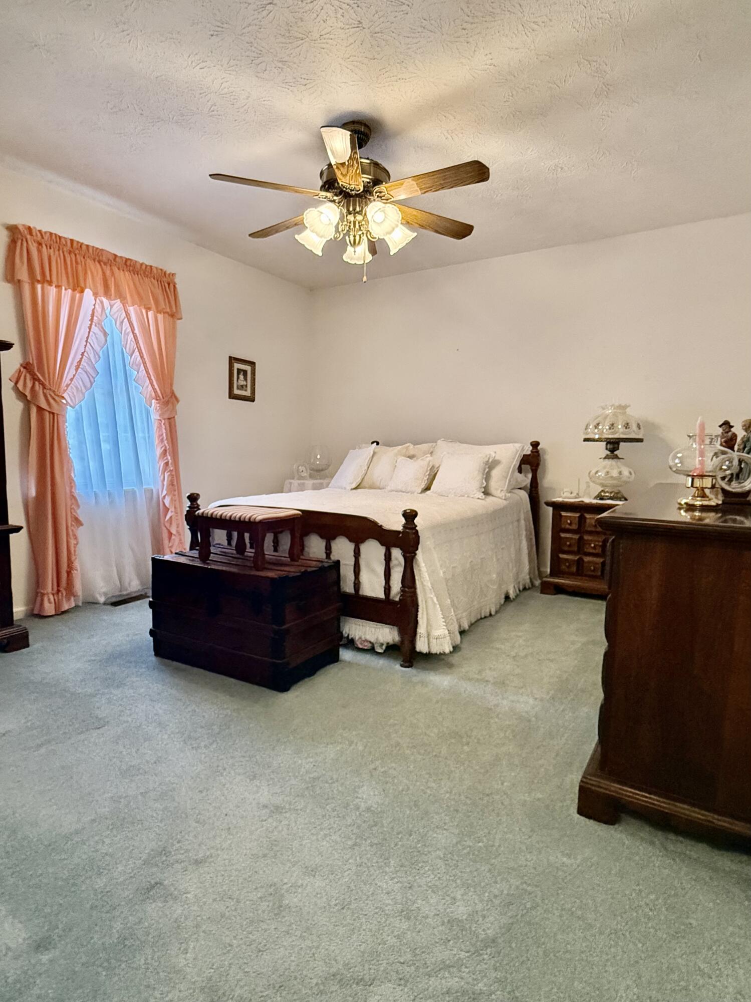 125 West Black Road Clearfield, KY 40313 - Photo 21 of 79 IMG_4850