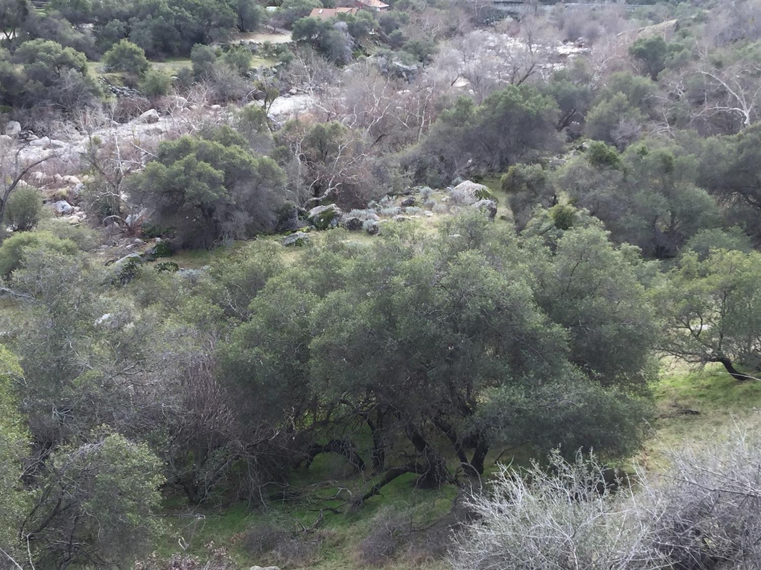 0 Dinely Drive Three Rivers, CA 93271 - Photo 10 of 16 Additional Photo