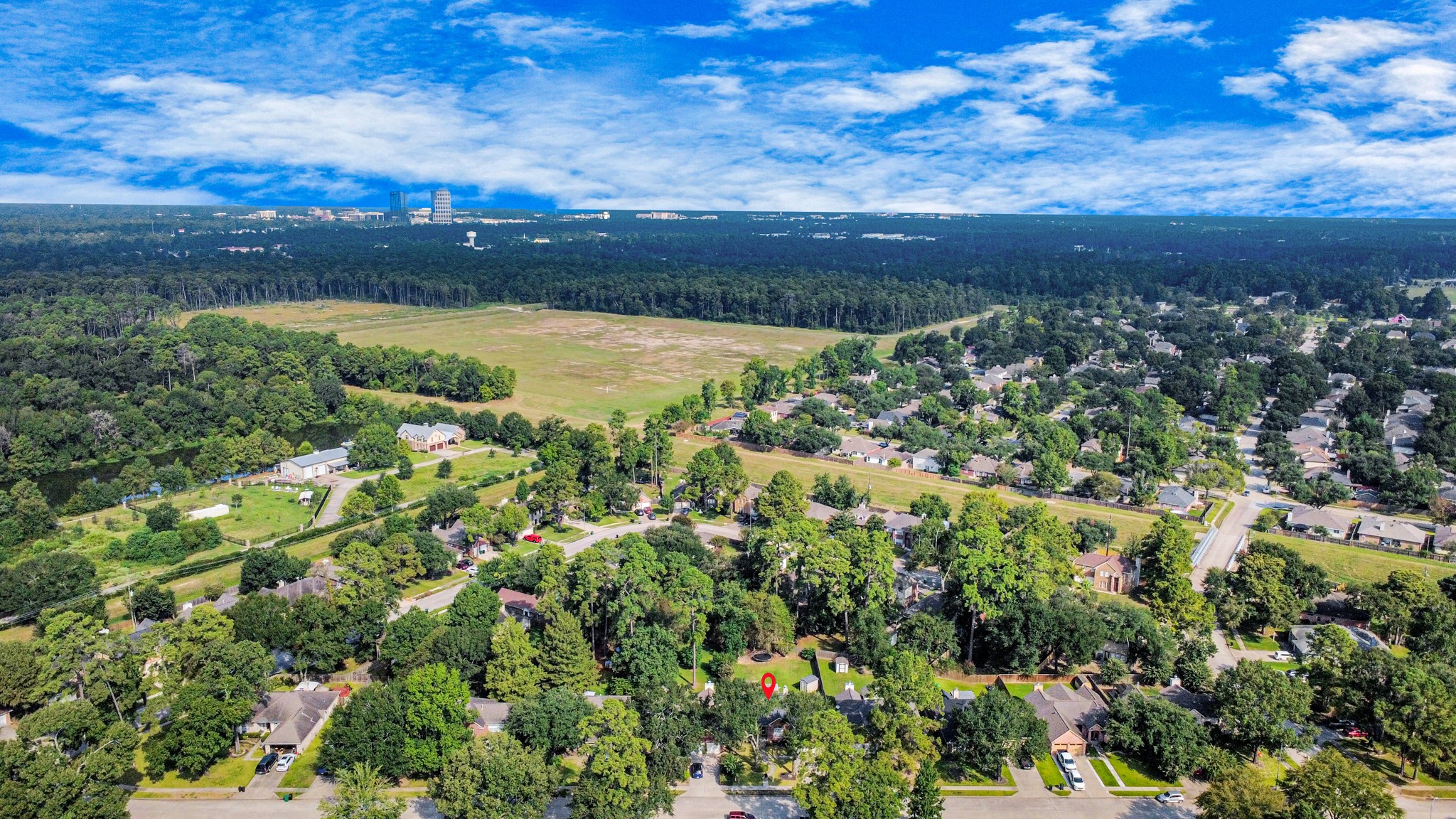 1407 Buchans Drive Spring, TX 77386 - Photo 30 of 31