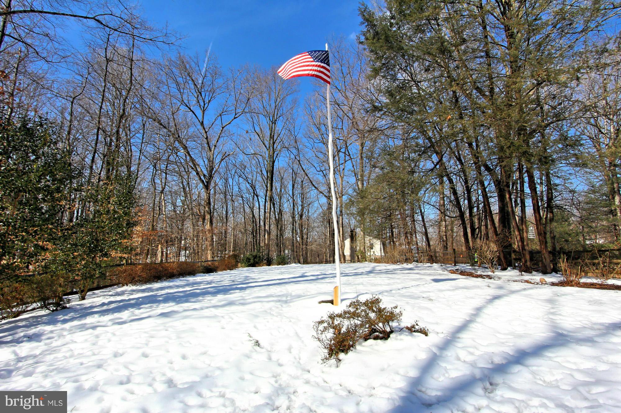 10415 Adel Road Oakton, VA 22124 - Photo 27 of 30 Private Backyard