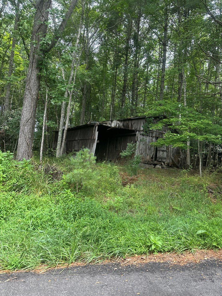 Tbd Carsonville Road, Unit PARCEL #3 Independence, VA 24348 - Photo 6 of 11 Gallery Image 6