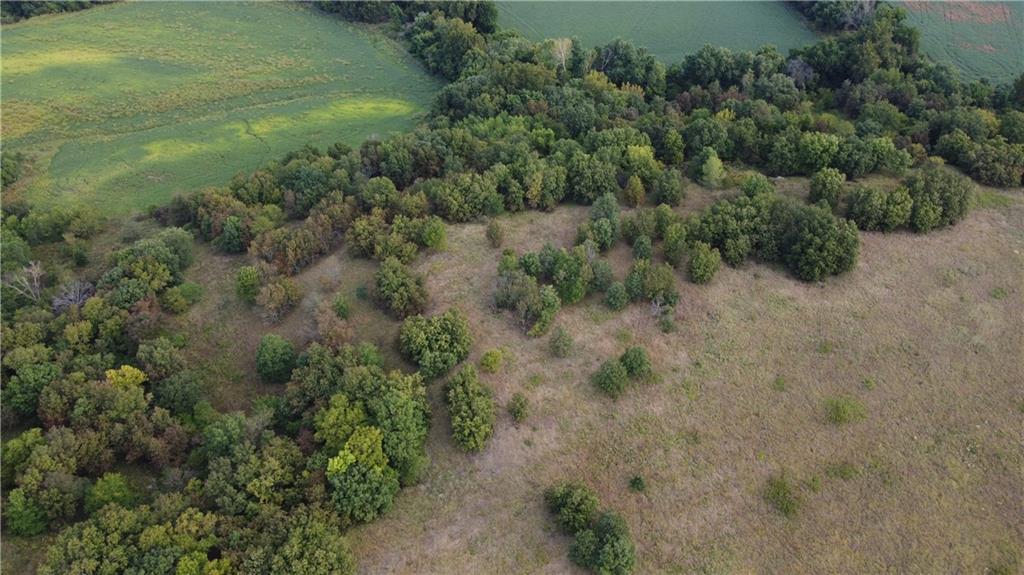 0 Ivory Road Moran, KS 66755 - Photo 16 of 50