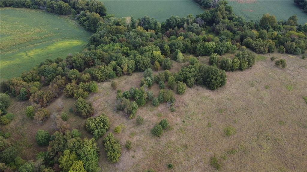 0 Ivory Road Moran, KS 66755 - Photo 17 of 50