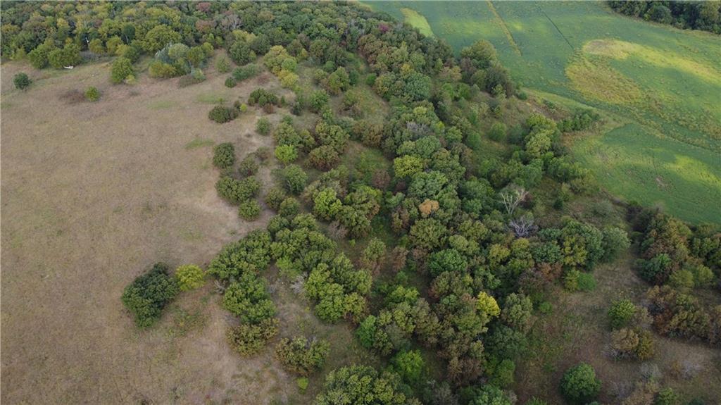 0 Ivory Road Moran, KS 66755 - Photo 18 of 50