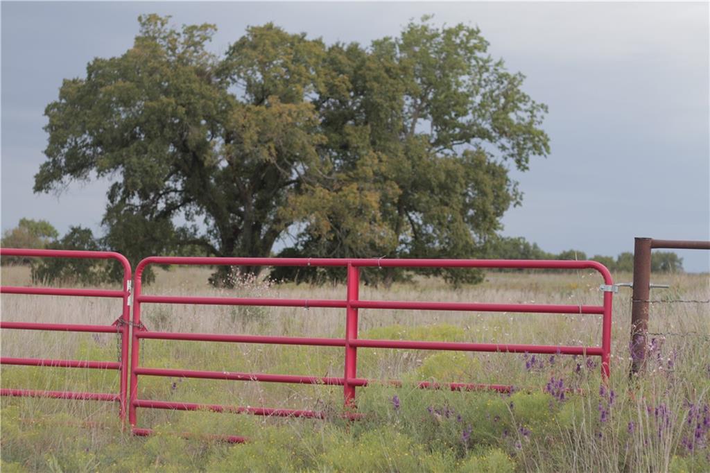 0 Ivory Road Moran, KS 66755 - Photo 27 of 50