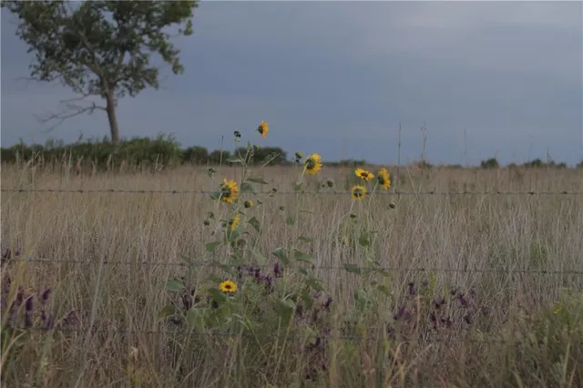 $330,650 | 0 Ivory Road, Moran, KS 66755