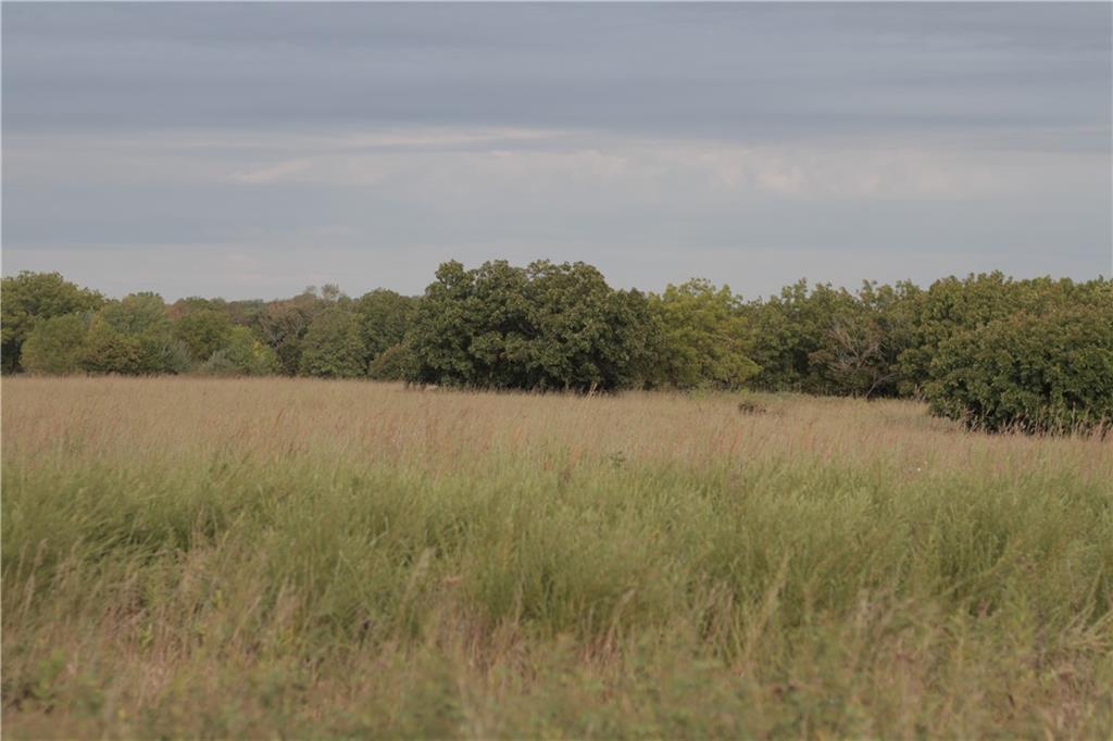 0 Ivory Road Moran, KS 66755 - Photo 30 of 50