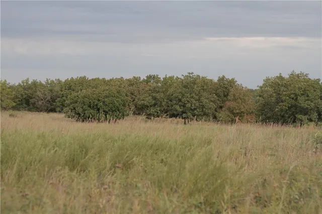 $330,650 | 0 Ivory Road, Moran, KS 66755