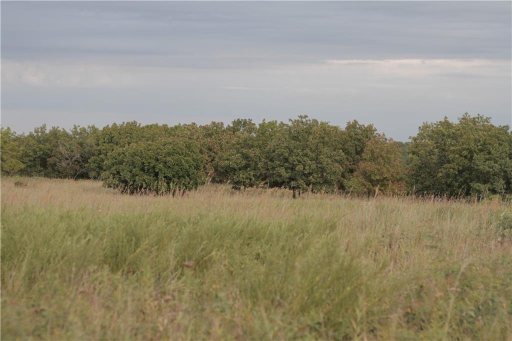 0 Ivory Road Moran, KS 66755 - Photo 31 of 50