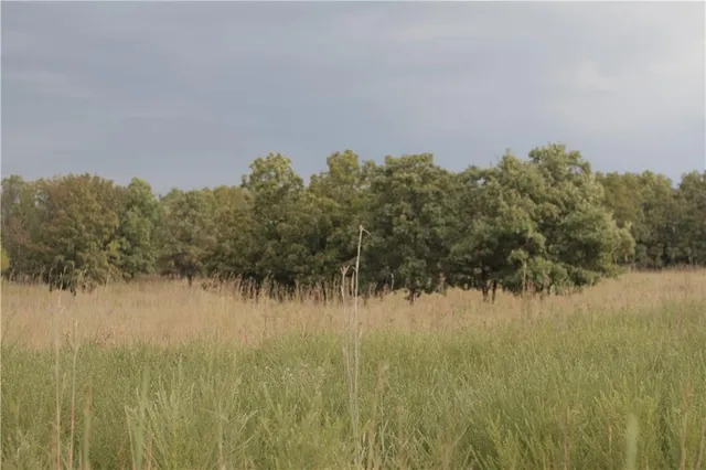 $330,650 | 0 Ivory Road, Moran, KS 66755