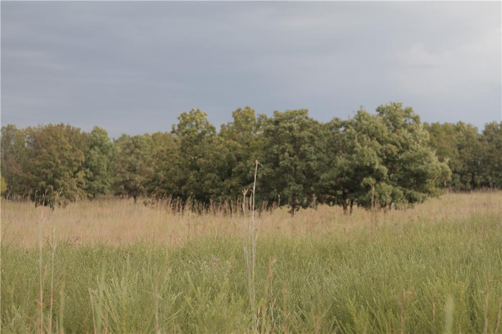 0 Ivory Road Moran, KS 66755 - Photo 32 of 50