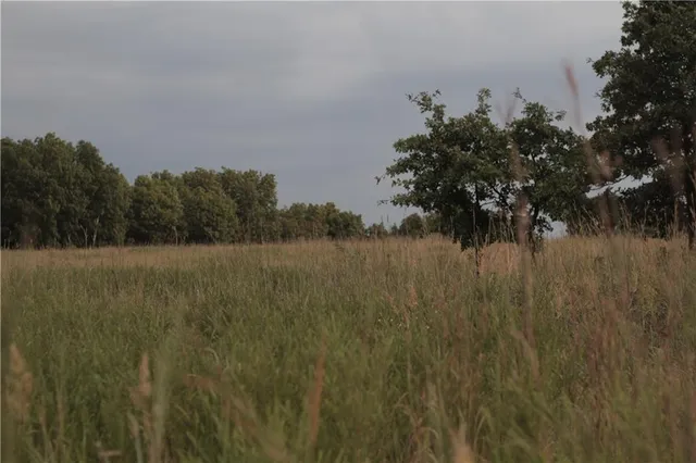 $330,650 | 0 Ivory Road, Moran, KS 66755