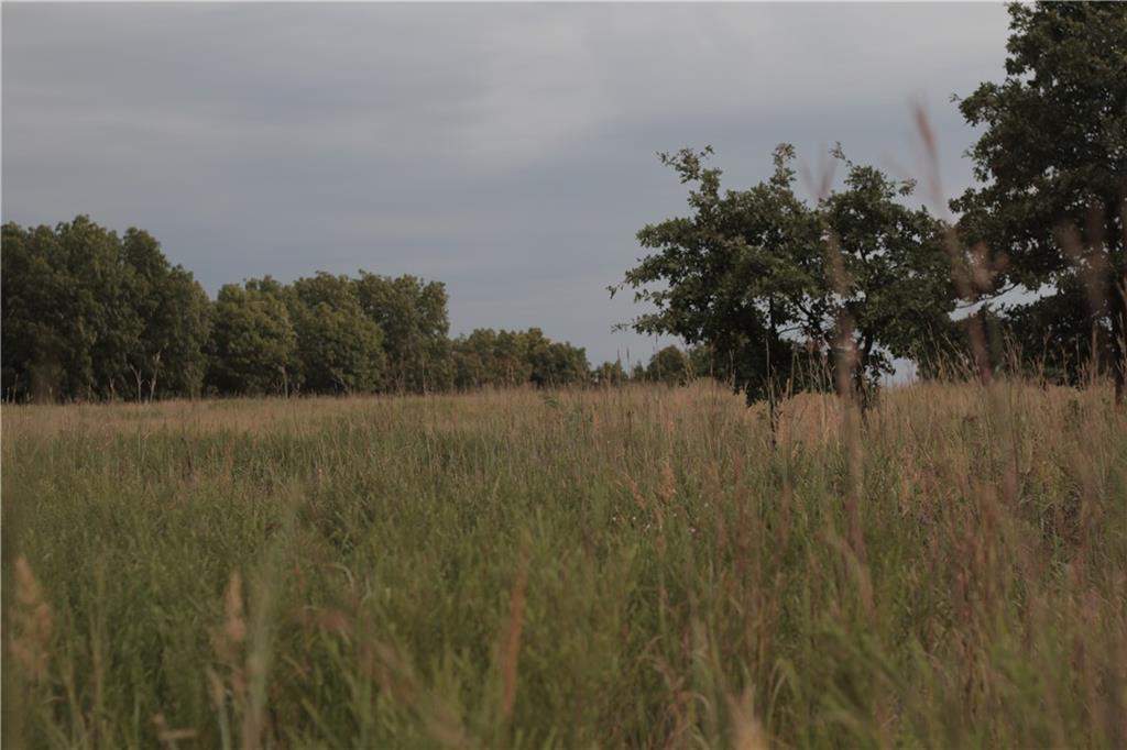 0 Ivory Road Moran, KS 66755 - Photo 34 of 50