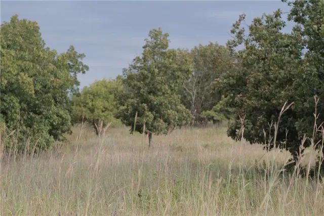 $330,650 | 0 Ivory Road, Moran, KS 66755