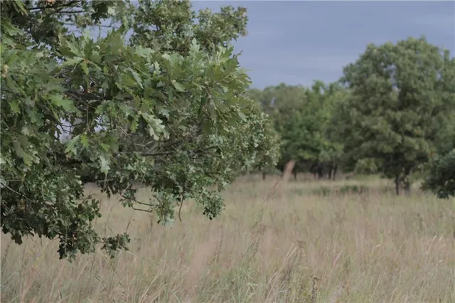 $330,650 | 0 Ivory Road, Moran, KS 66755