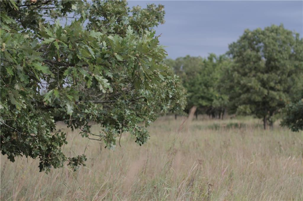 0 Ivory Road Moran, KS 66755 - Photo 36 of 50