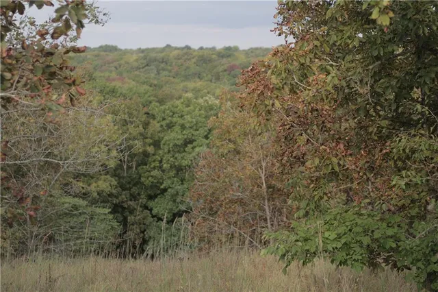 $330,650 | 0 Ivory Road, Moran, KS 66755