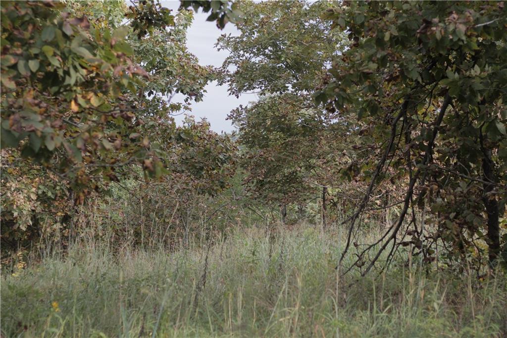 0 Ivory Road Moran, KS 66755 - Photo 38 of 50