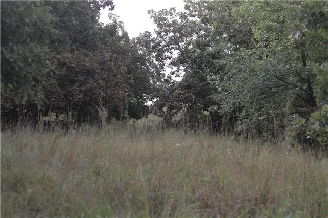 $330,650 | 0 Ivory Road, Moran, KS 66755