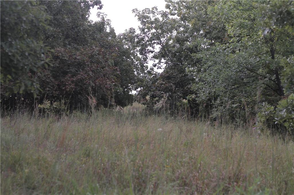 0 Ivory Road Moran, KS 66755 - Photo 39 of 50